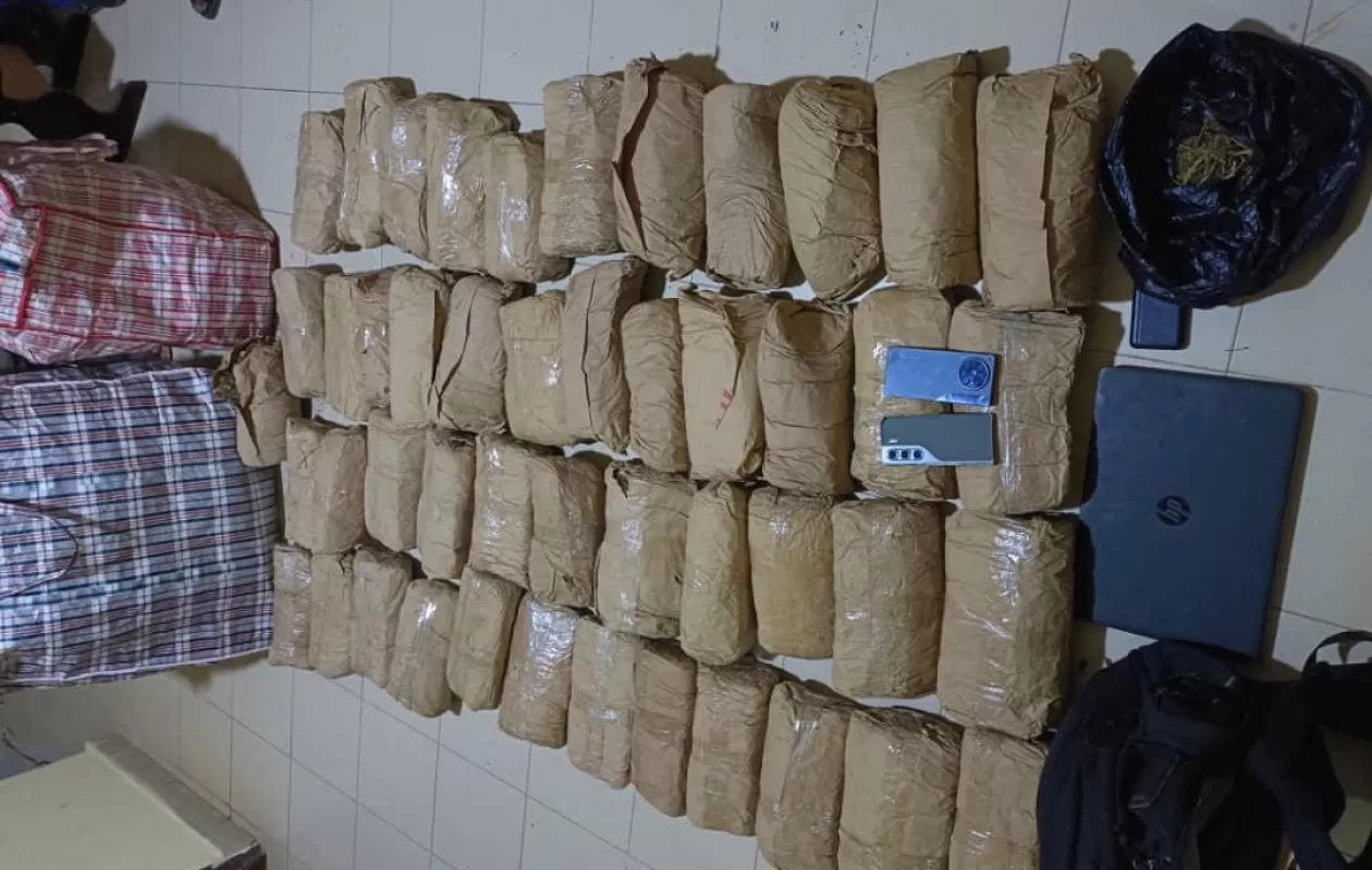 Thiès : un enseignant vacataire arrêté avec plus de 50 kg de chanvre indien