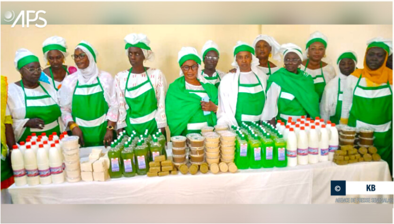 Sénégal : Formation de Cinquante Femmes "Ndayou Daara" à la Fabrication de Savon et d'Eau de Javel