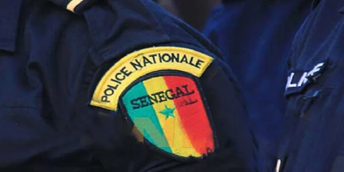 Trafic de drogue et d’ecstasy aux Parcelles Assainies : Arrestation d'un vendeur de pièces détachées et d'un dealer