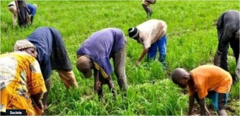 Journée de mobilisation à Saint-Louis : Le CNCR énumère les difficultés du monde rural