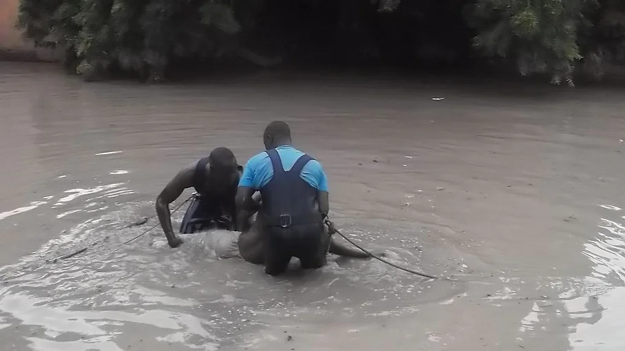 Tristesse à Ziguinchor : Un jeune bachelier perd la vie dans le fleuve Casamance