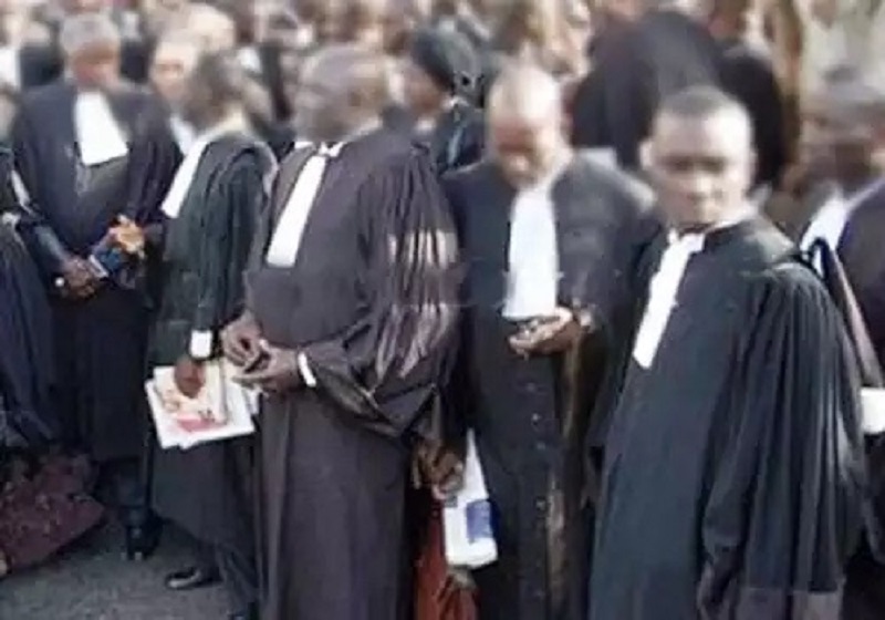 Report de la présidentielle : Réaction de l'ordre des avocats du Sénégal