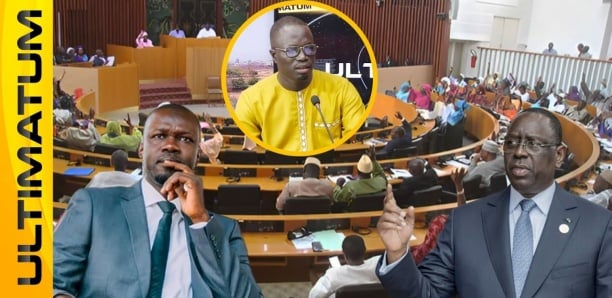 Débat houleux autour de la loi d'amnistie : Moussa Mbow des précisions cruciales