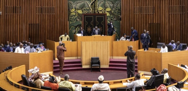 Violences politiques entre 2021 et 2024 : L’Assemblée adopte la loi d’amnistie