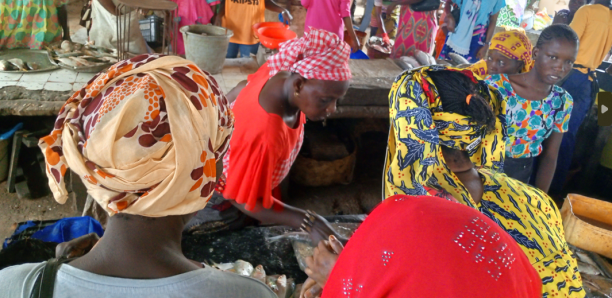 Cherté et rareté du poisson à Kaffrine : Les conséquences à l'approche du Ramadan
