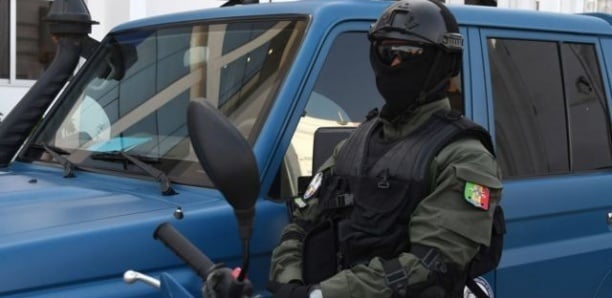 Lutte renforcée contre l'insécurité : Opérations de grande envergure de la Gendarmerie à travers le Sénégal