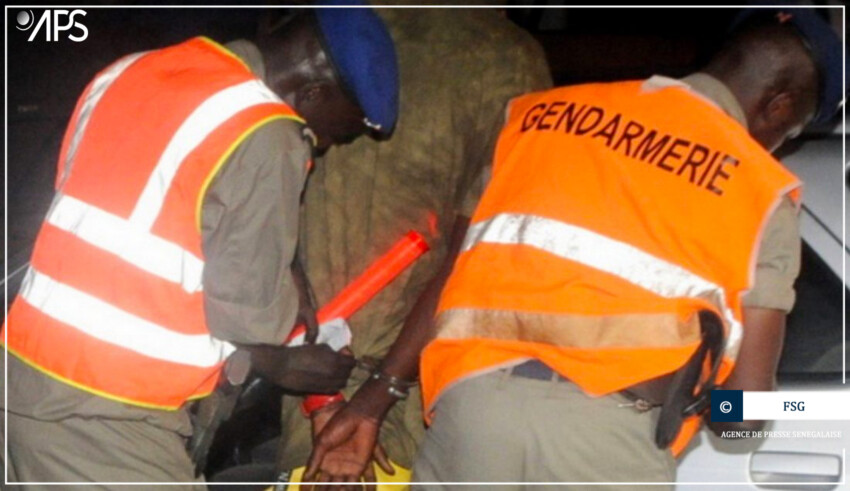 Lutte contre l'insécurité au Sénégal : La Gendarmerie Nationale intensifie ses opérations avec des résultats significatifs