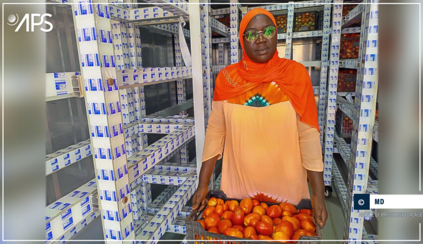 Bineta Anne : Secrétaire de direction et pionnière du progrès agricole à Matam