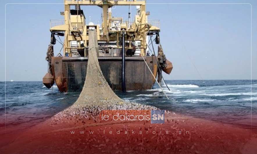 Sénégal : Publication de la liste des navires de pêche autorisés par le ministère des pêches au 6 Mai 2024