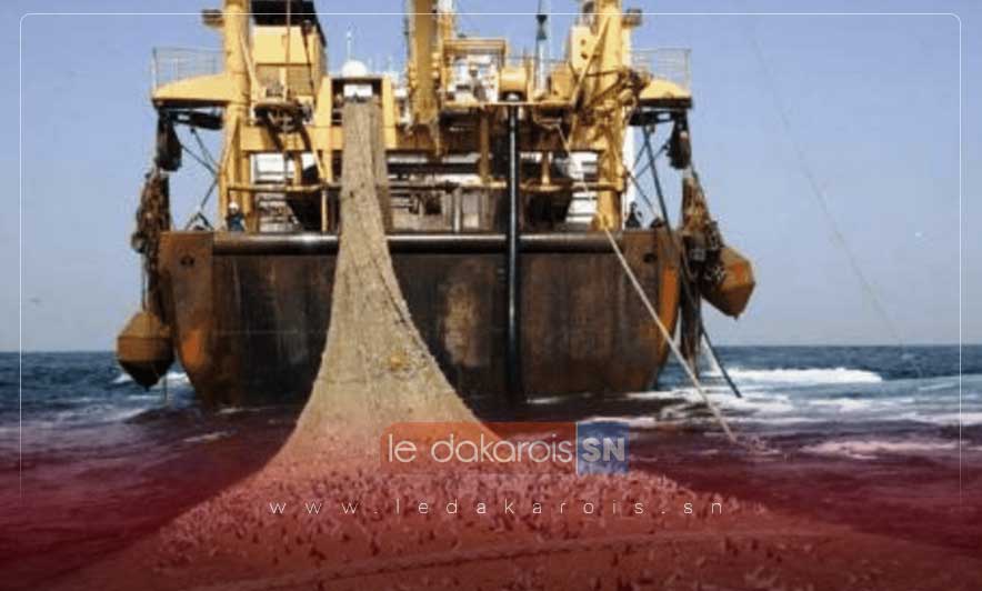 La commission Européenne avertit le Sénégal sur la pêche illicite