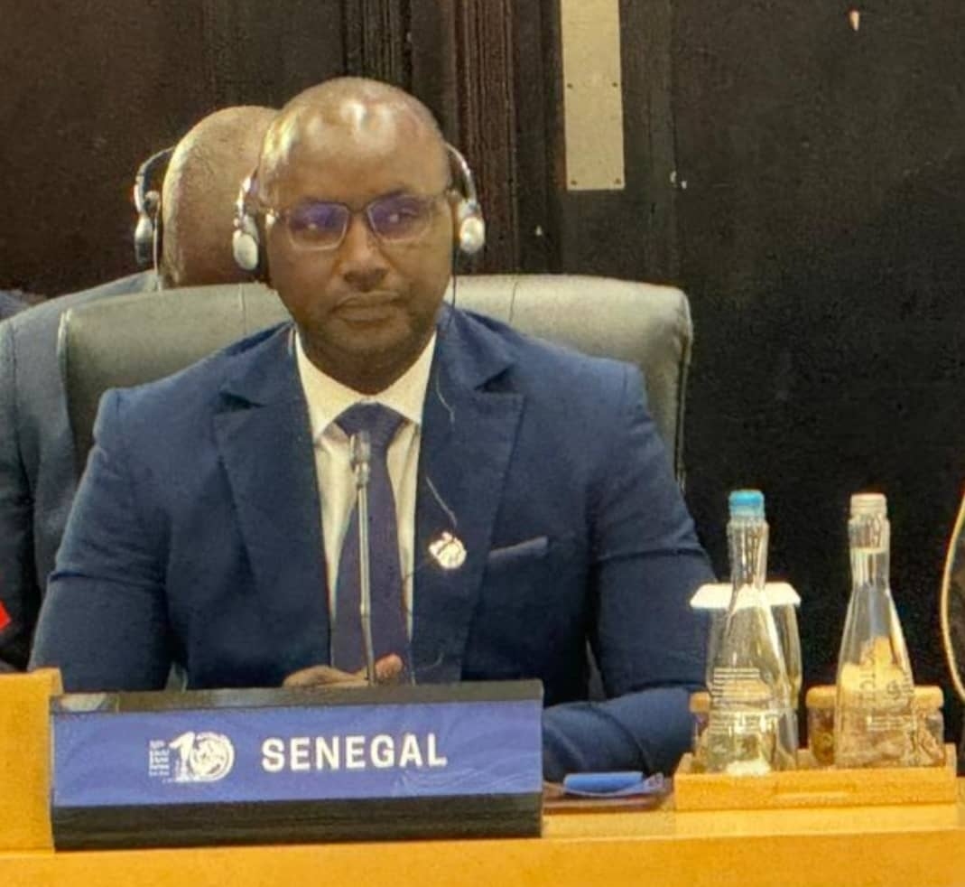 Le Sénégal au 10e Forum mondial de l’eau à Bali : Le ministre Cheikh Tidiane Dièye