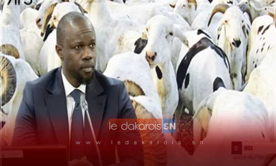 Tabaski : Les 15 mesures de Ousmane Sonko pour garantir l'approvisionnement et la sécurité des citoyens