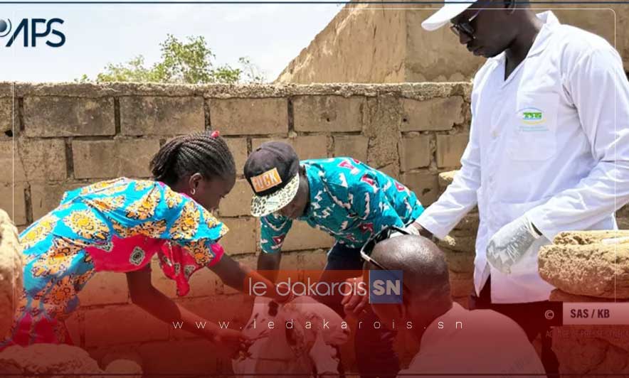 Matam : Découverte d'un cas de fièvre hémorragique Crimée-Congo à Bokidiawé