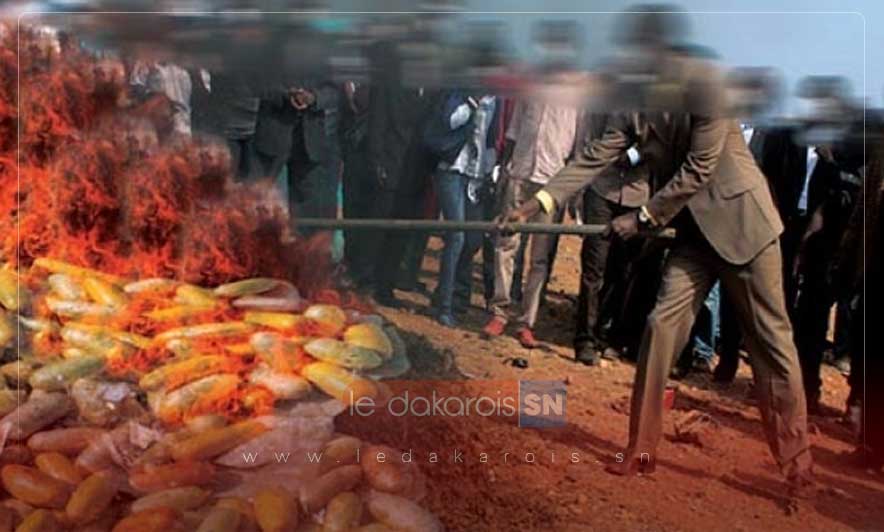 Sénégal : Une quantité impressionnante de drogue incinérée à Rufisque