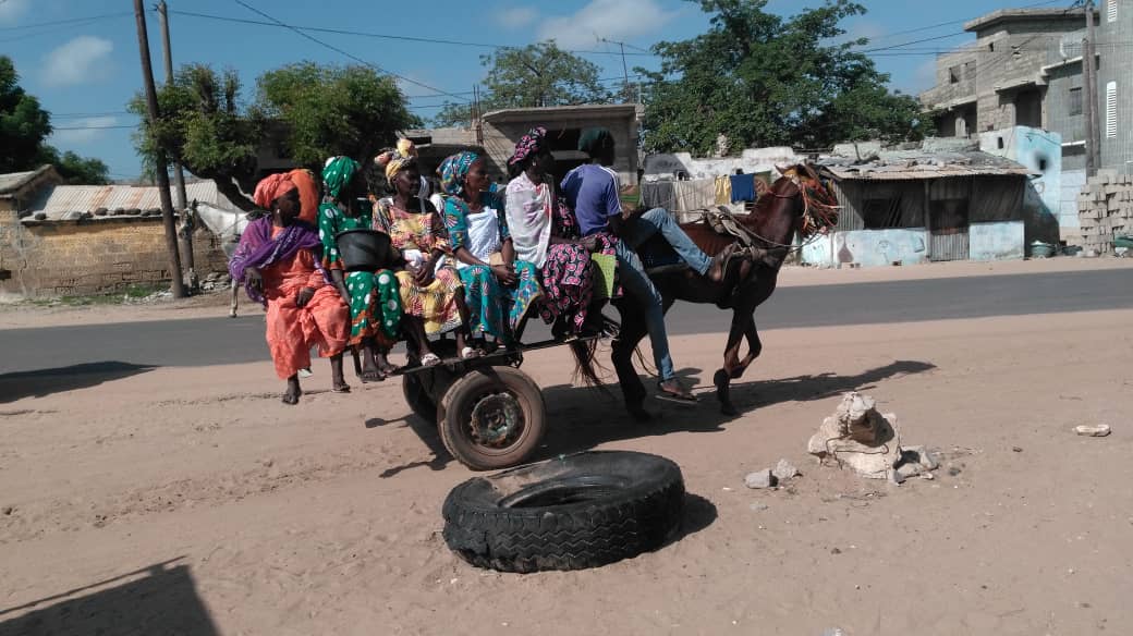 Magal de Touba : Ruée des charrettes vers la ville sainte