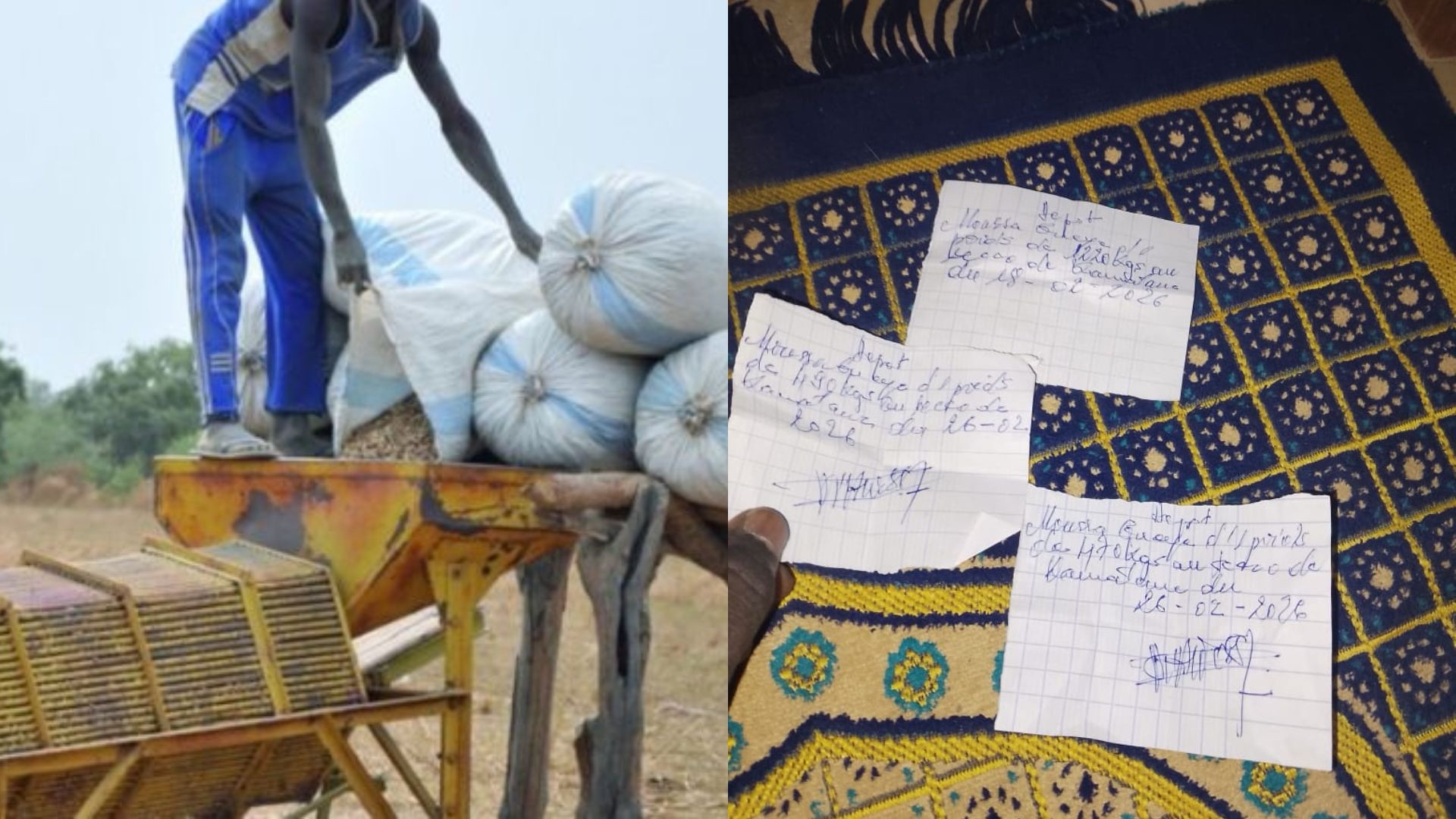 Fatick : malaise autour de la collecte d’arachide dans plusieurs villages de Djilor