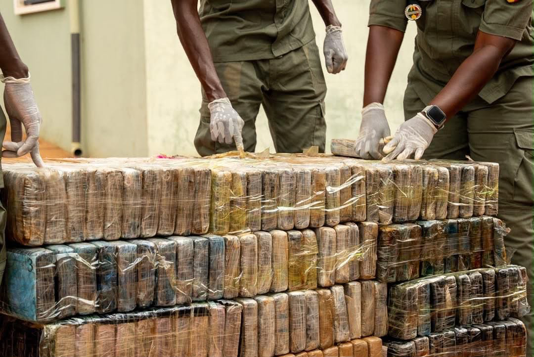 Saisie record de cocaïne à Koumpentoum : près d’une tonne de drogue interceptée par les Douanes sénégalaises
