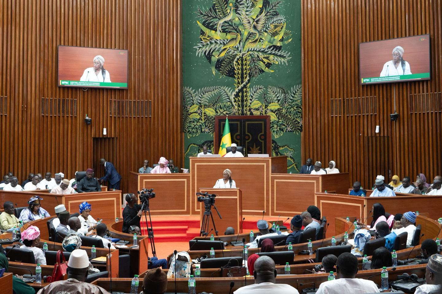 Crédits spéciaux : l’Assemblée nationale suspend la plénière après la saisine du Conseil constitutionnel